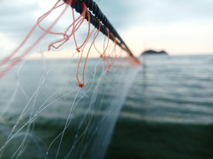 Primer plano red pesca contra cielo