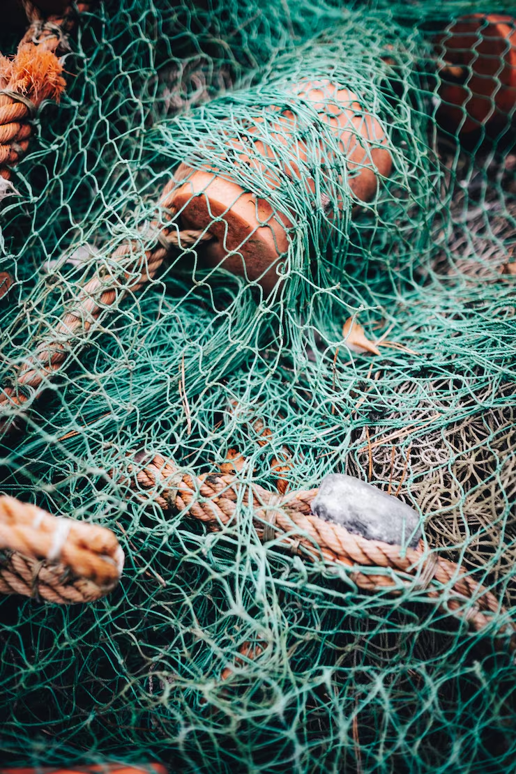 Red pesca primer plano